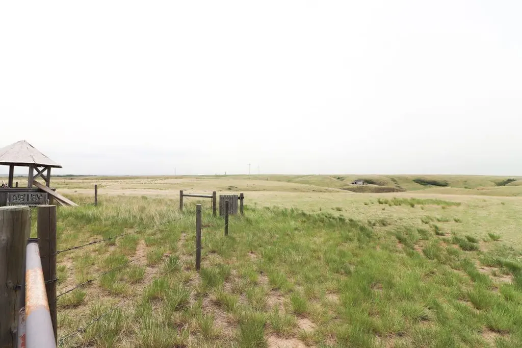 13429 Range Road 62 Rural Cypress County AB T1B 4Y5