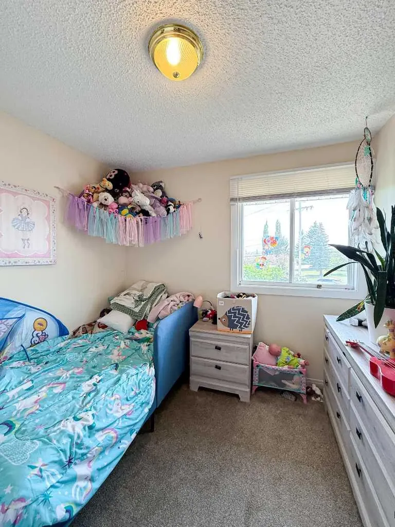 18 Princess Petra Avenue Didsbury AB T0M 0W0