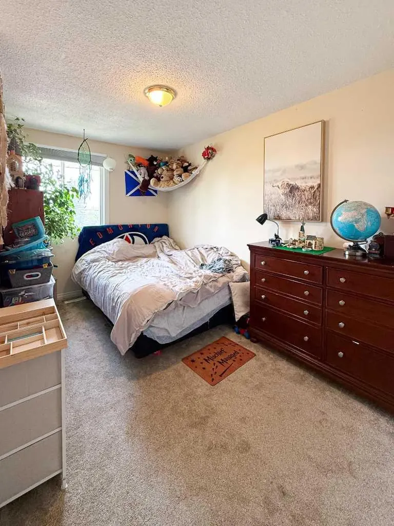 18 Princess Petra Avenue Didsbury AB T0M 0W0