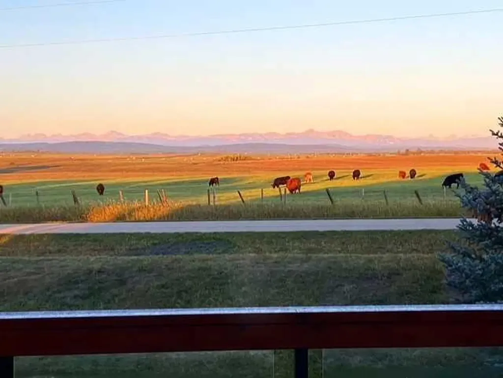 339 Leighton View Rural Rocky View County AB T3Z 0A2