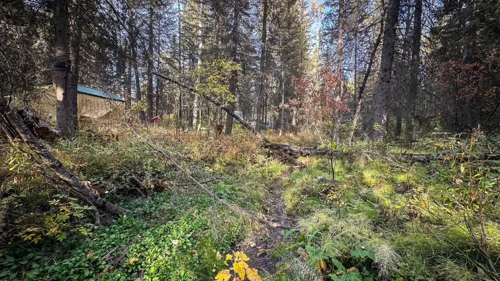 5227 Township Road 320 Rural Mountain View County AB T0M1X0