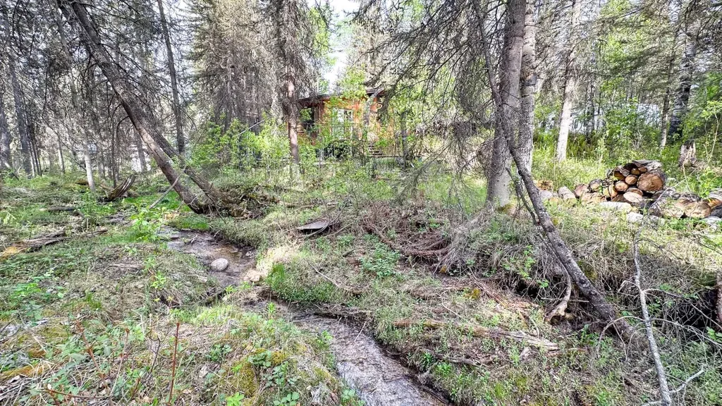 5227 Township Road 320 Rural Mountain View County AB T0M1X0