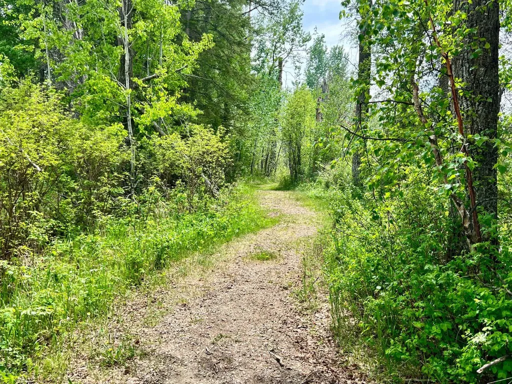 62002 Twp Road 462a Buck Lake AB T0C 0T0