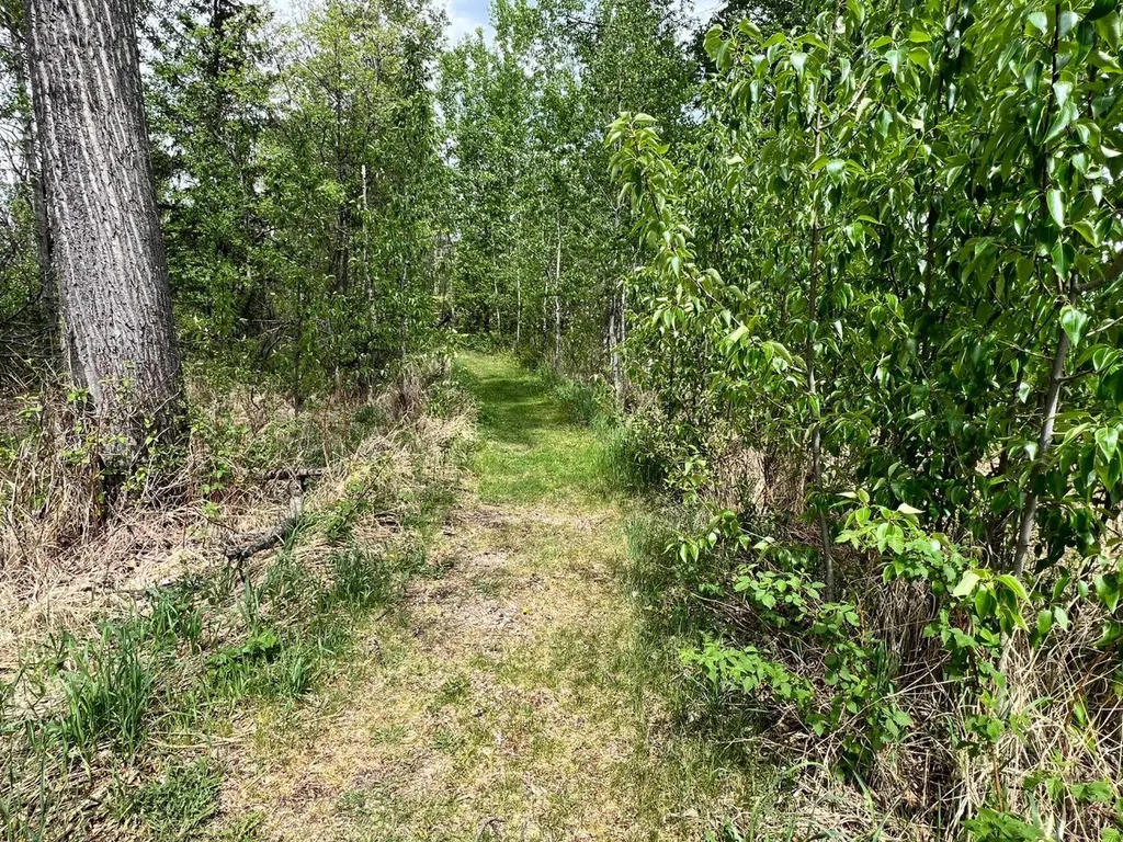 62002 Twp Road 462a Buck Lake AB T0C 0T0
