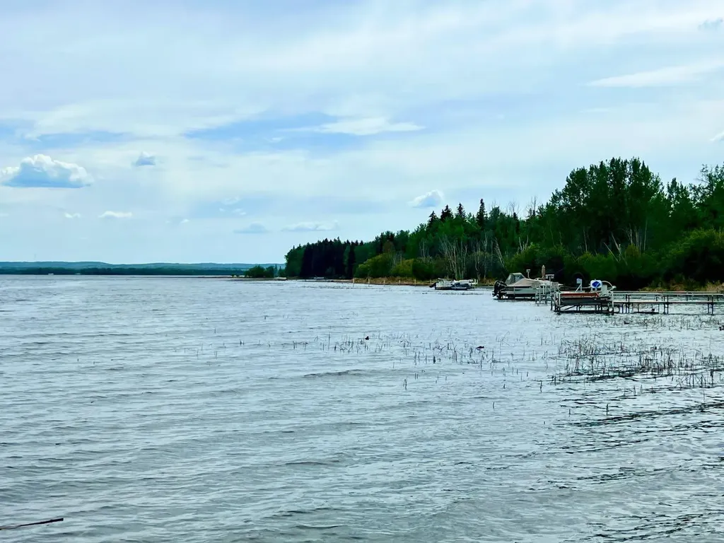 62002 Twp Road 462a Buck Lake AB T0C 0T0