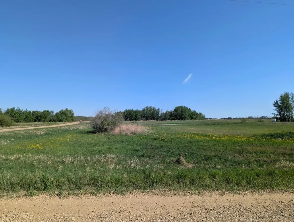 On Range Road 212 Rural Camrose County AB T0C 0L0