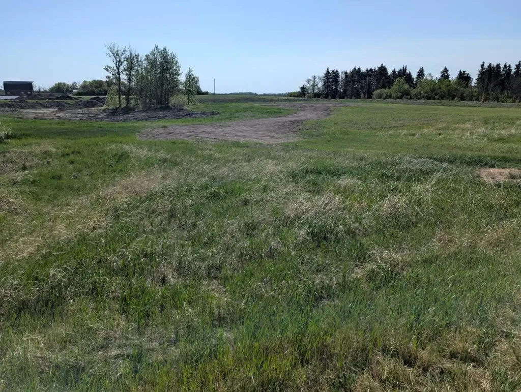 On Range Road 212 Rural Camrose County AB T0C 0L0