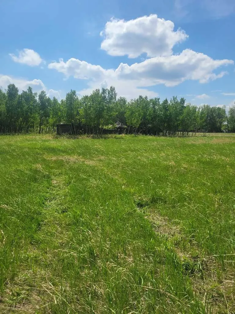 24166 Old Banff Coach Road Rural Rocky View County AB T3Z 3N4