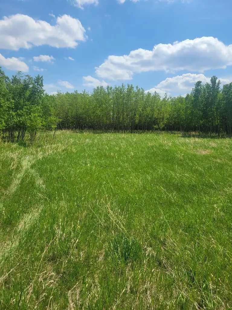 24166 Old Banff Coach Road Rural Rocky View County AB T3Z 3N4
