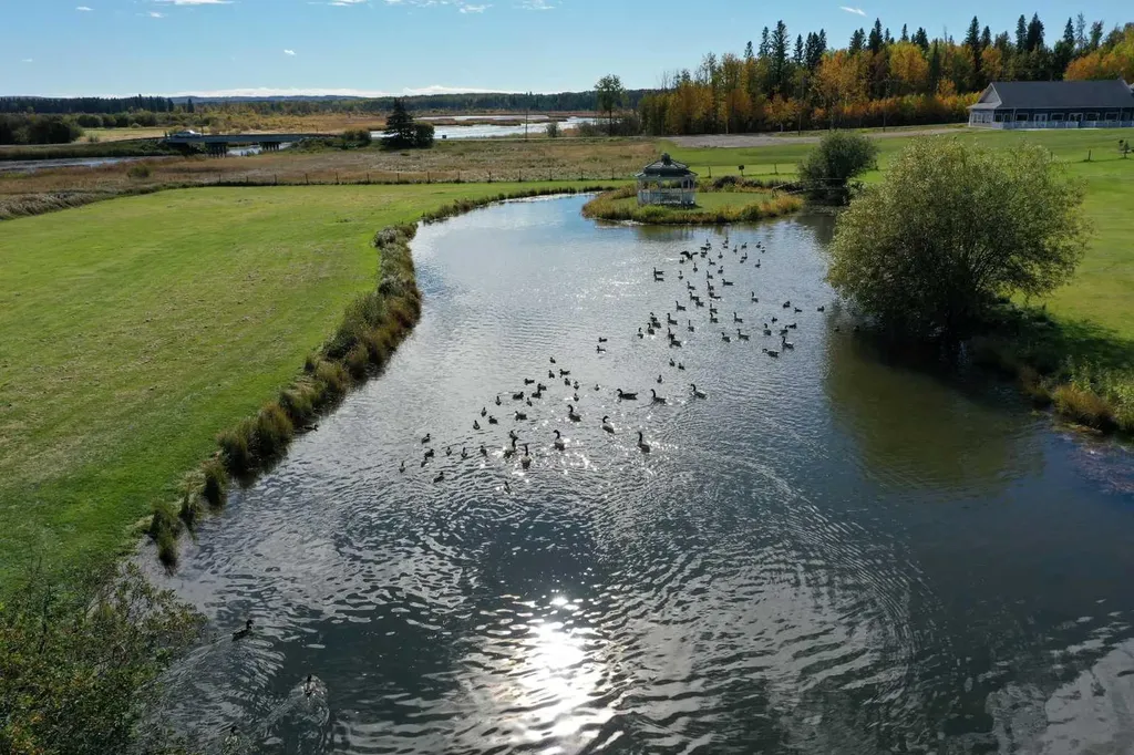 1 Ave Avenue W Buck Lake AB T0C 0T0