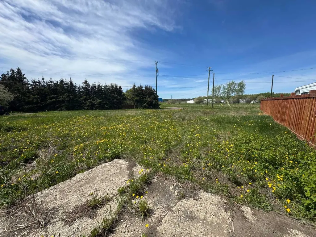 1119 7th Avenue Beaverlodge AB T0H 0C0