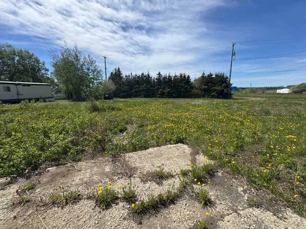 1119 7th Avenue Beaverlodge AB T0H 0C0