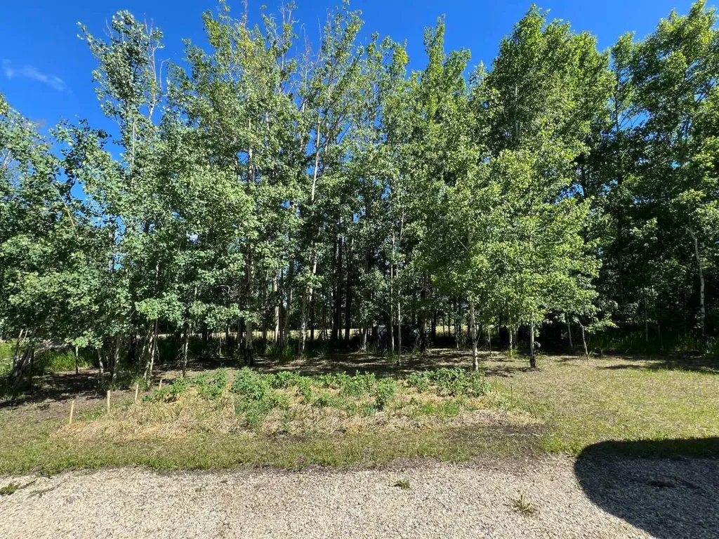 11013 Township Road 423 Rural Ponoka County AB T0C2J0