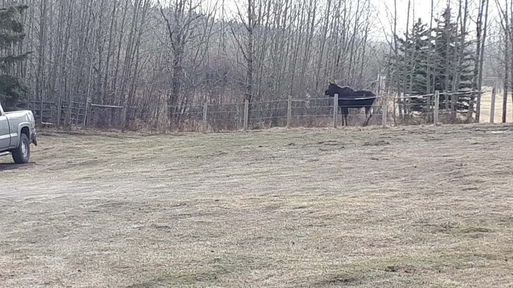 14 Nagway Court Rural Rocky View County AB T3R1A1