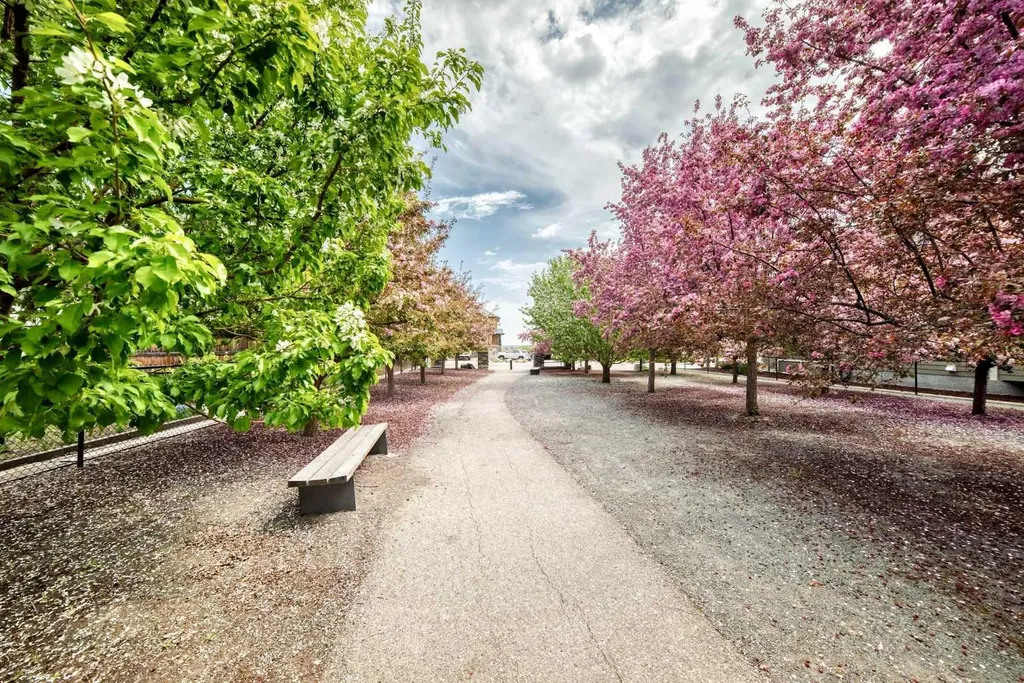 75 Silverado Bank Gardens SW Calgary AB T2X 0K9