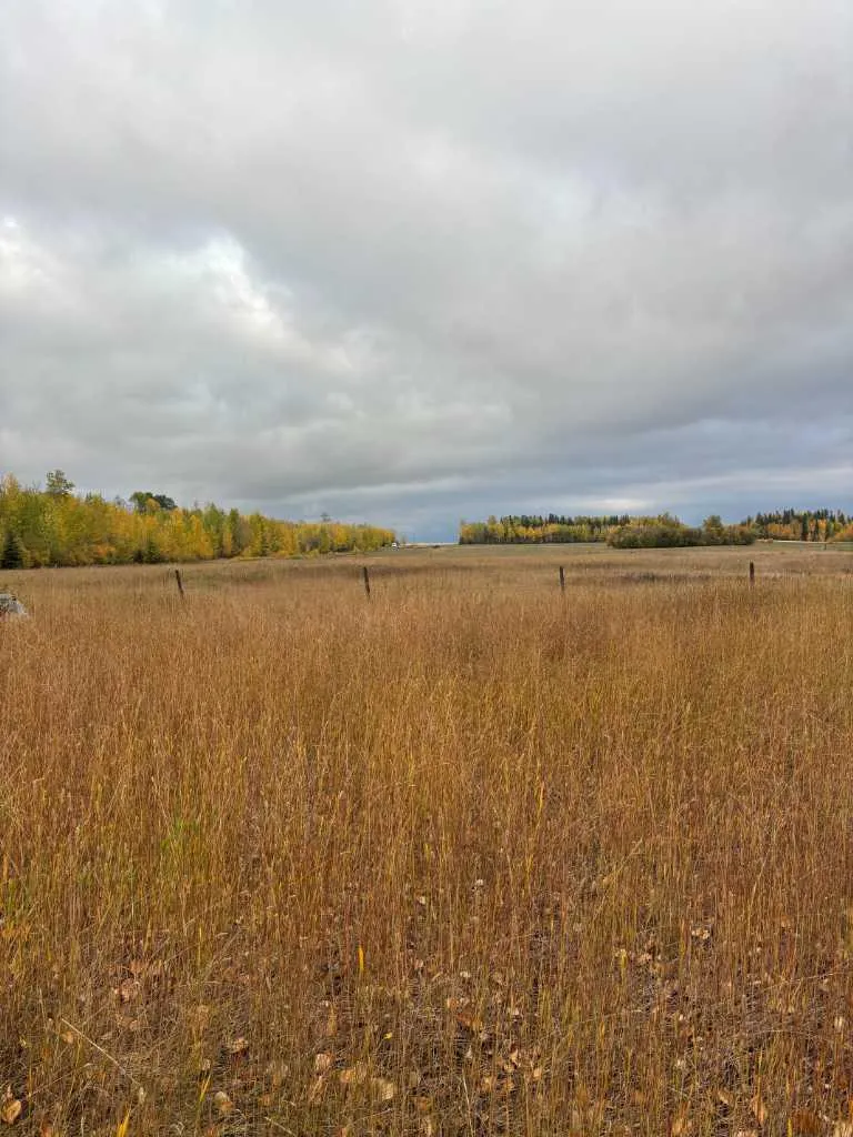 70009 Range Road 75 Grovedale AB T0H 1X0