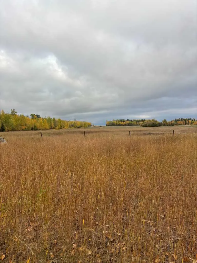 70009 Range Road 75 Grovedale AB T0H 1X0