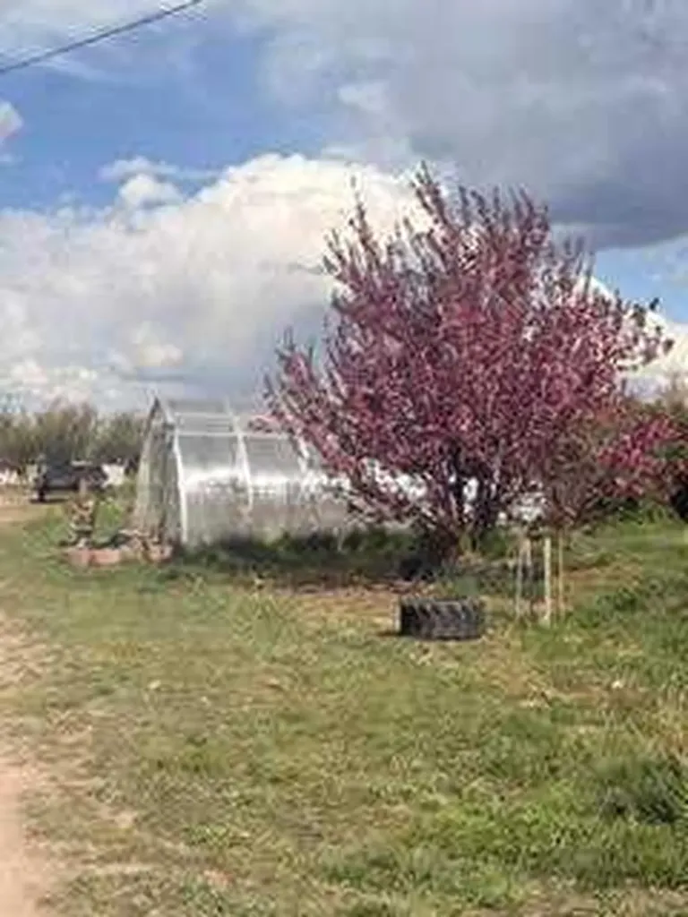 225079 Range Road 245 Rural Wheatland County AB T1P 0N5