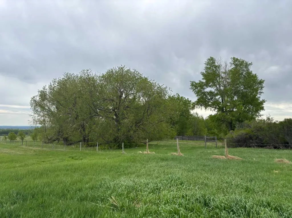 591068 Range Road 103 Rural Woodlands County AB T7S1N3