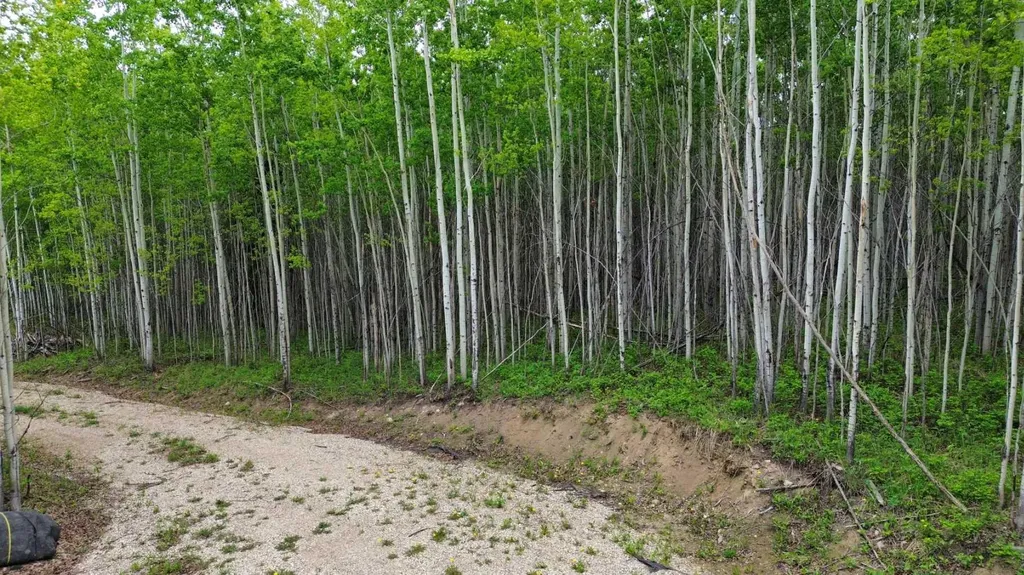 On Range Road 64 Pt Nw-28-74-6-w6 Range Sexsmith AB T0H 3C0