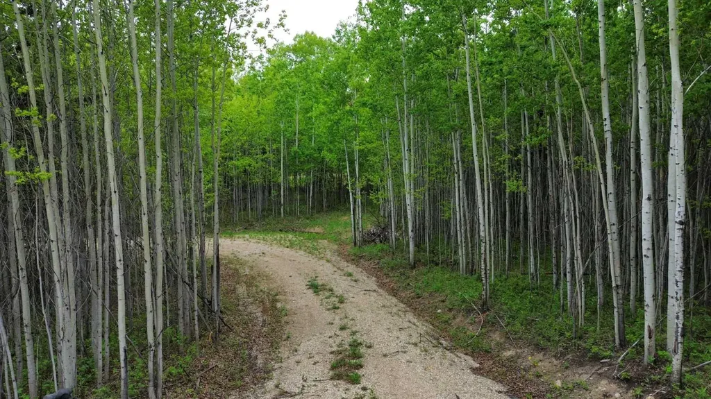 On Range Road 64 Pt Nw-28-74-6-w6 Range Sexsmith AB T0H 3C0