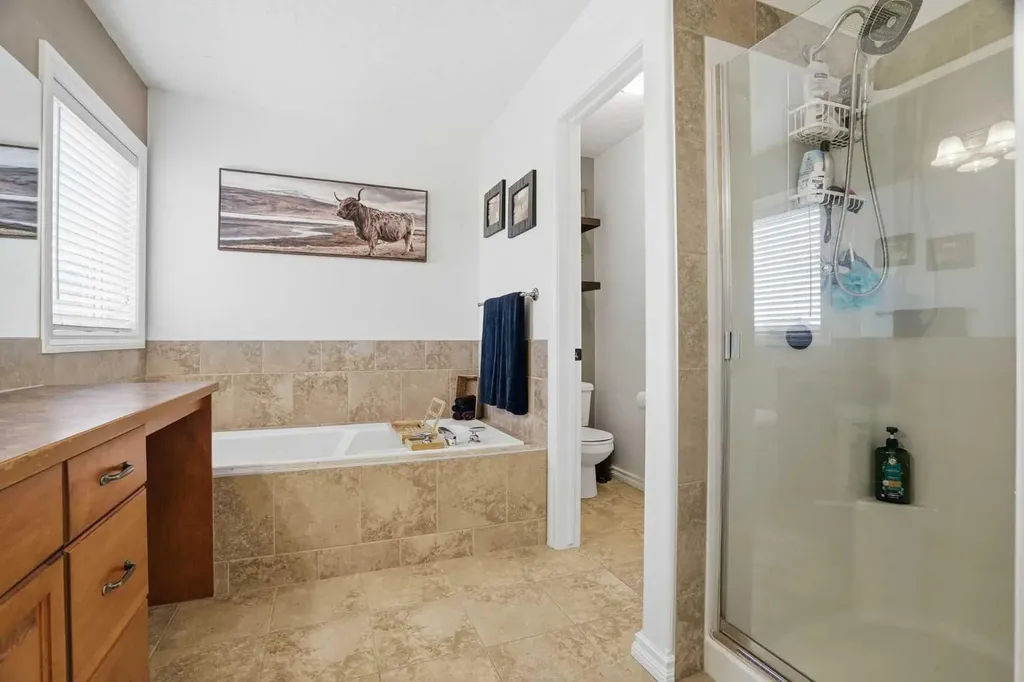 161 Cimarron Park Circle Okotoks AB T1S 2H5