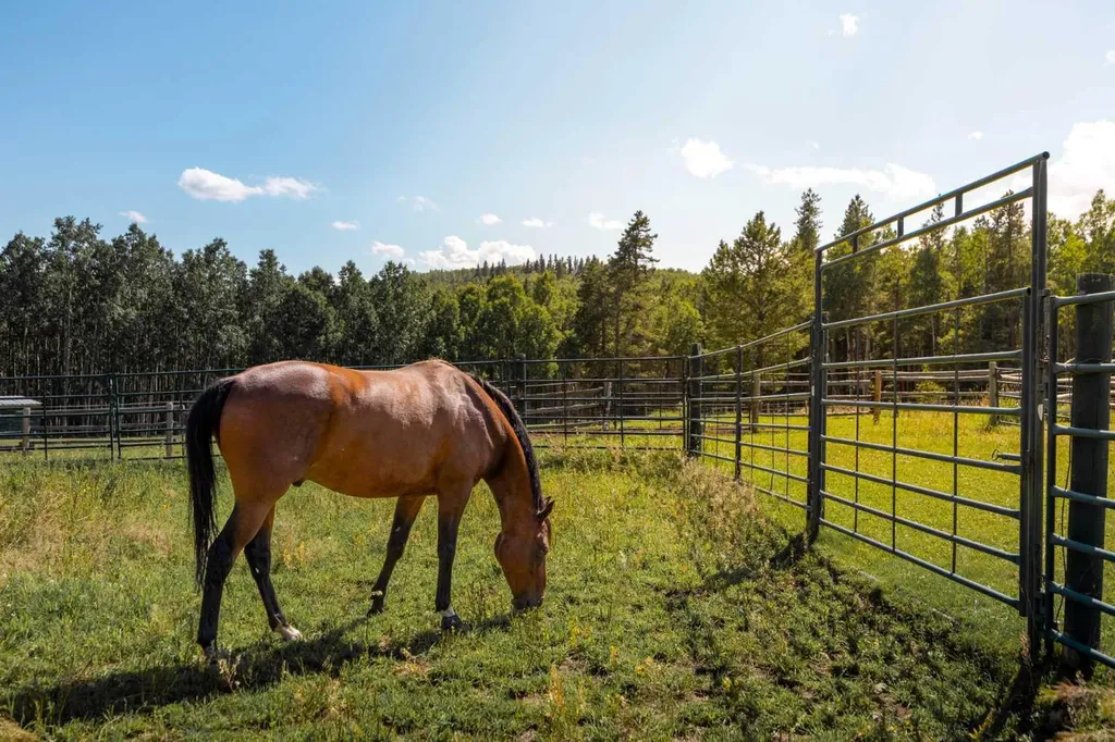 162104 376 Street W Rural Foothills County AB T3Z 3R3