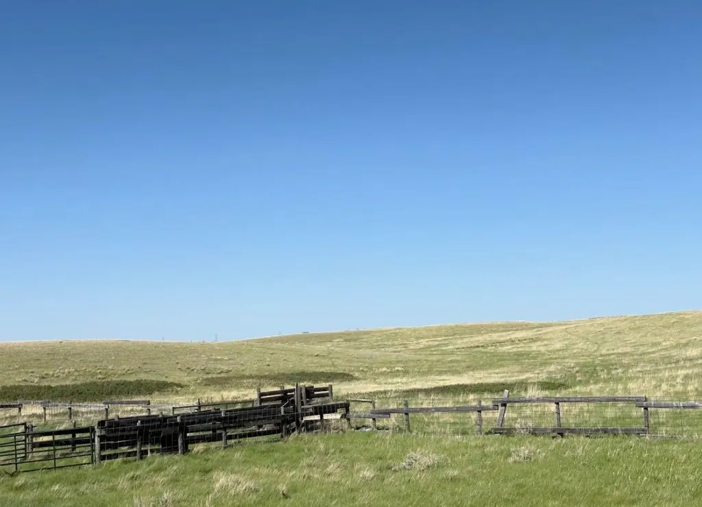 NW25 R10 T5 S4 Rural Cypress County AB T1B 0K3