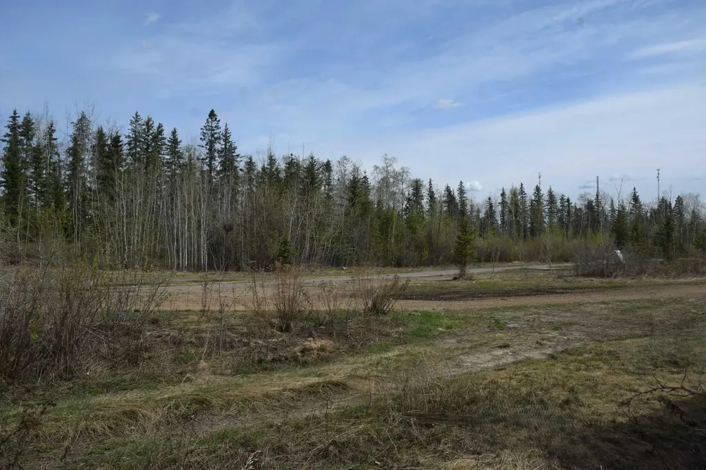 192 Grandview Crescent Fort Mcmurray AB T9H4X8