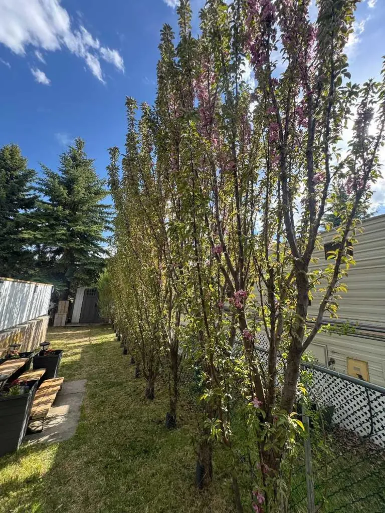 2540 Township Road 353 Rural Red Deer County AB T4G0K6