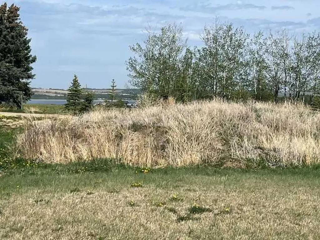36 Bruhn Bend Rural Ponoka County AB T0C 2J0