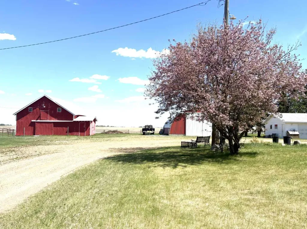 42567 Highway 856 Forestburg AB T0B 1N0