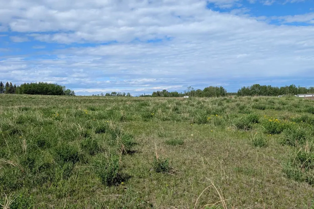 382027 Range Road 4-5 Rural Clearwater County AB T0M 0P0