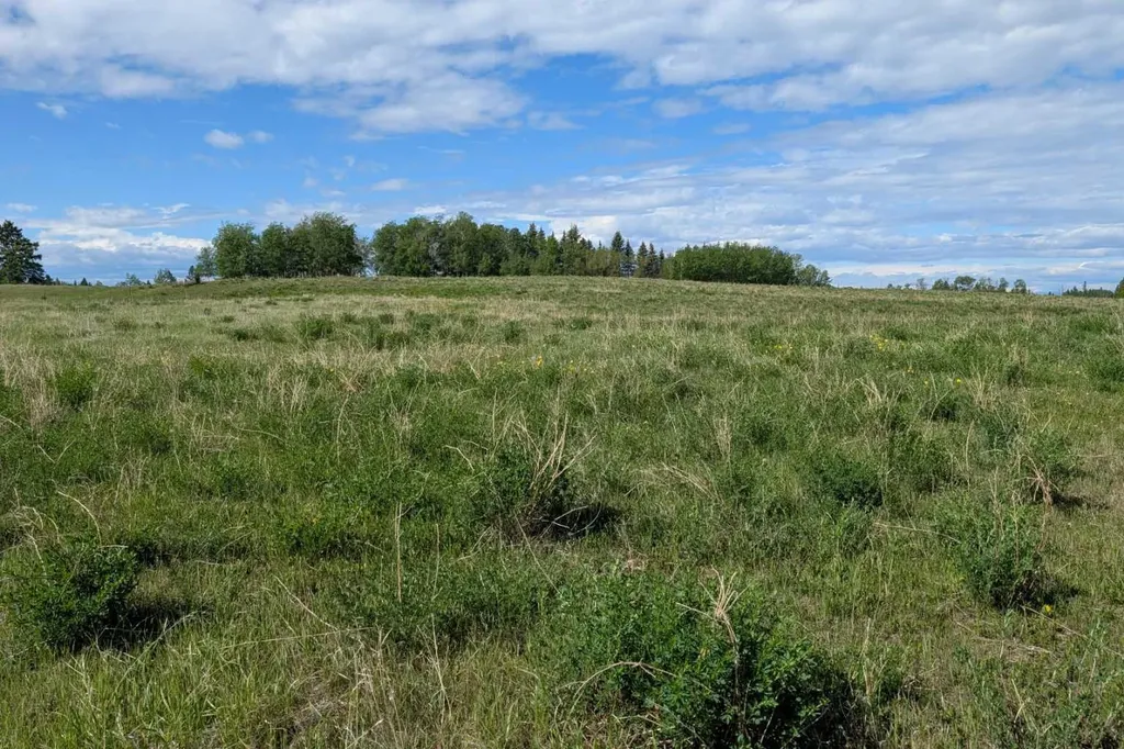 382027 Range Road 4-5 Rural Clearwater County AB T0M 0P0