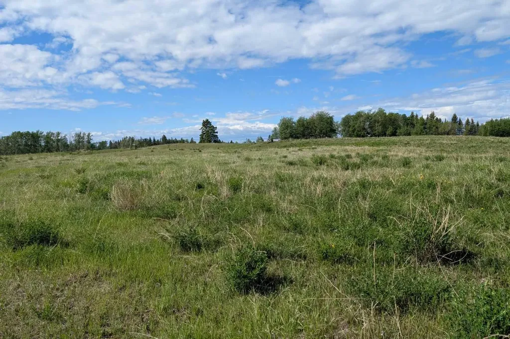 382027 Range Road 4-5 Rural Clearwater County AB T0M 0P0