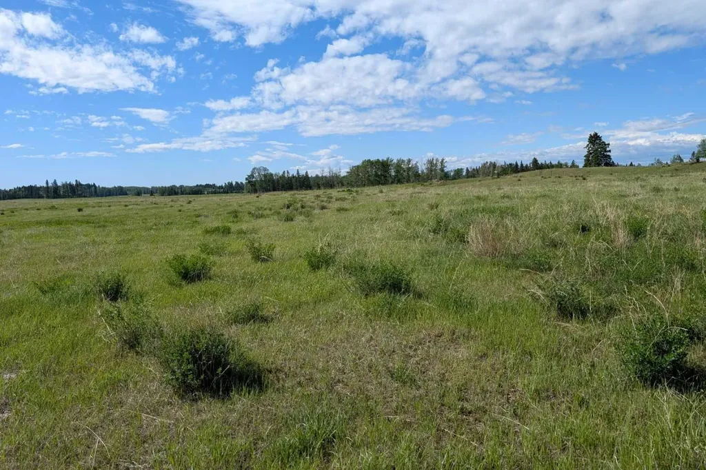 382027 Range Road 4-5 Rural Clearwater County AB T0M 0P0