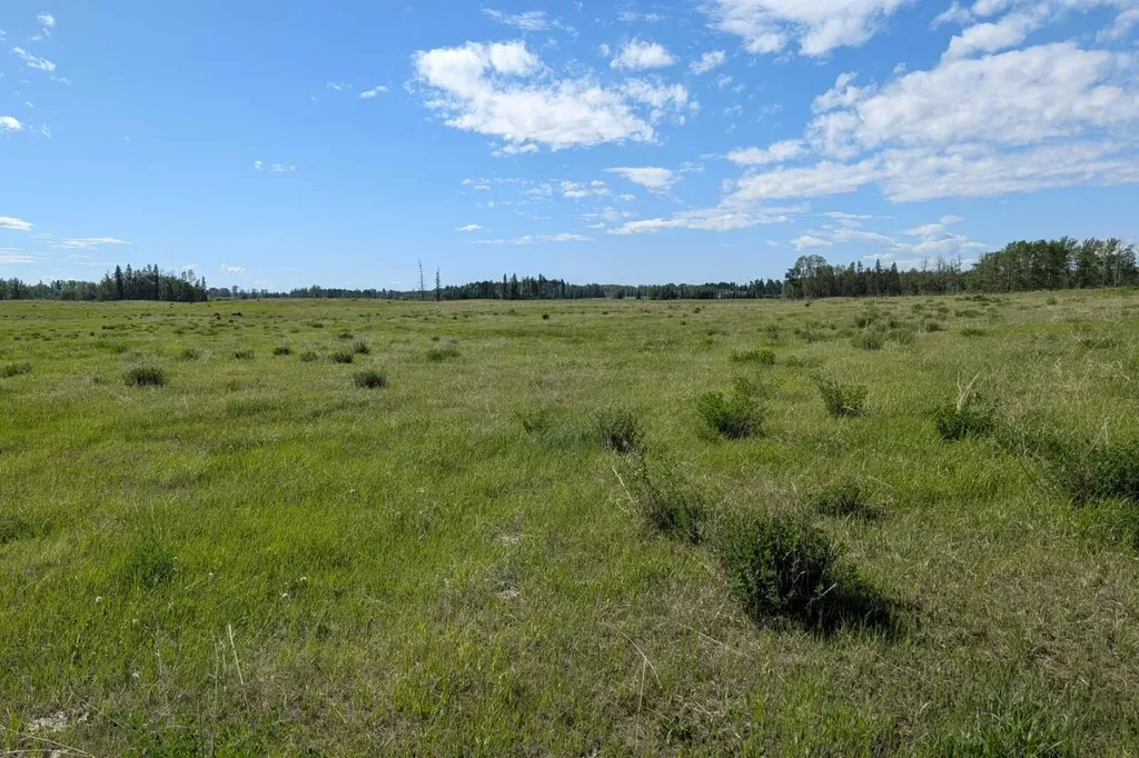 382027 Range Road 4-5 Rural Clearwater County AB T0M 0P0