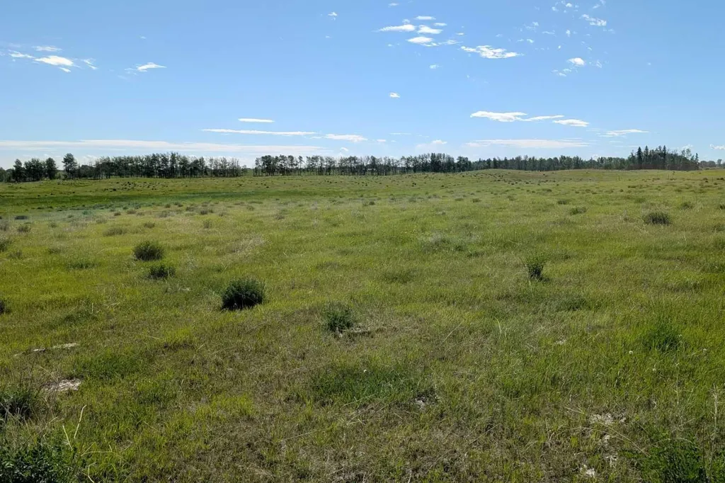 382027 Range Road 4-5 Rural Clearwater County AB T0M 0P0