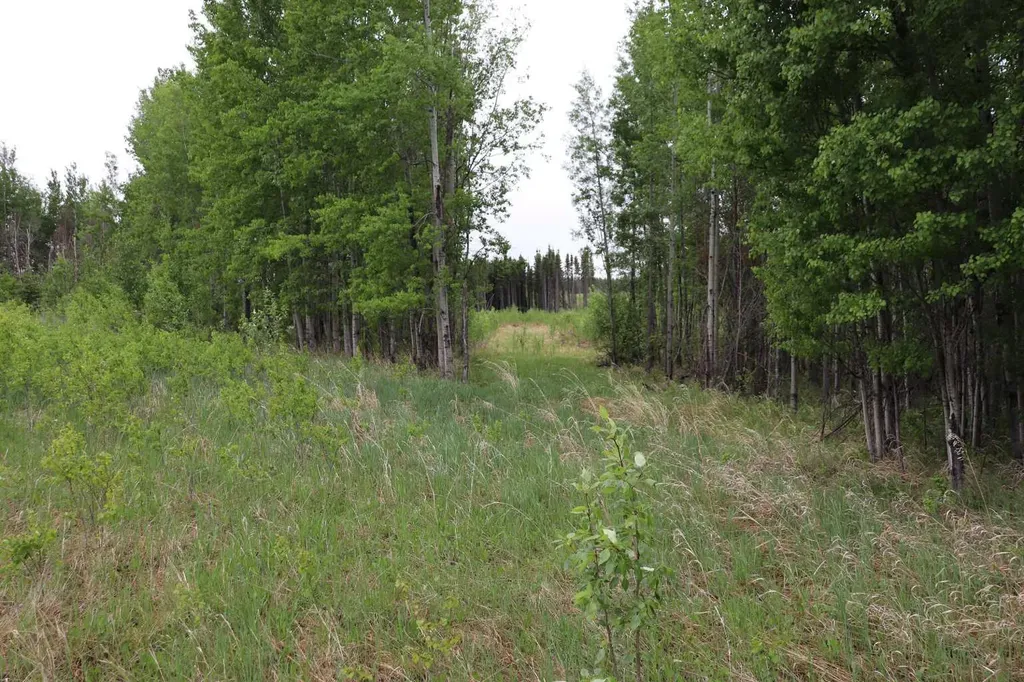 Lot 1 Ne-21-53-11 Rural Yellowhead County AB T7E 5A6