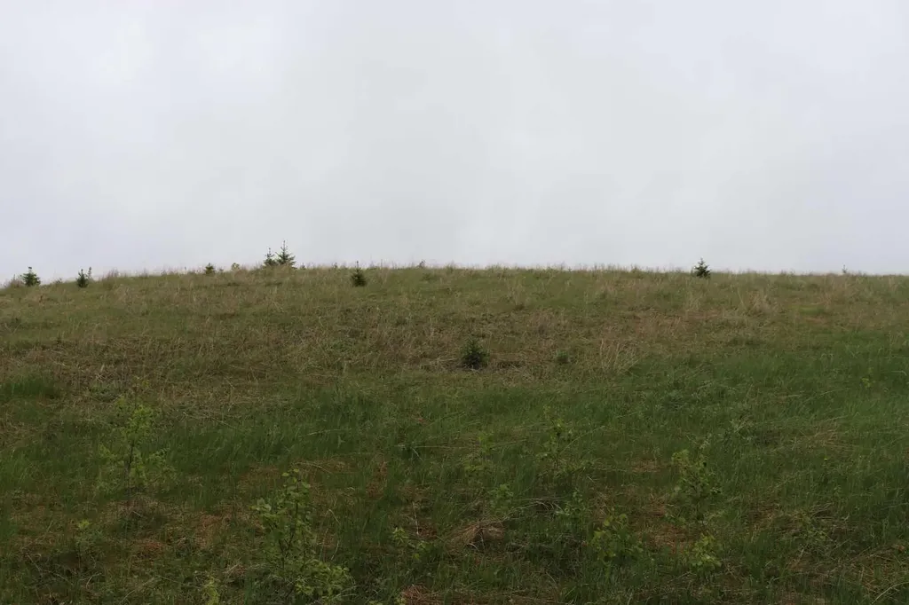 Lot 1 Ne-21-53-11 Rural Yellowhead County AB T7E 5A6