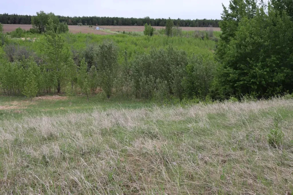 Lot 1 Ne-21-53-11 Rural Yellowhead County AB T7E 5A6