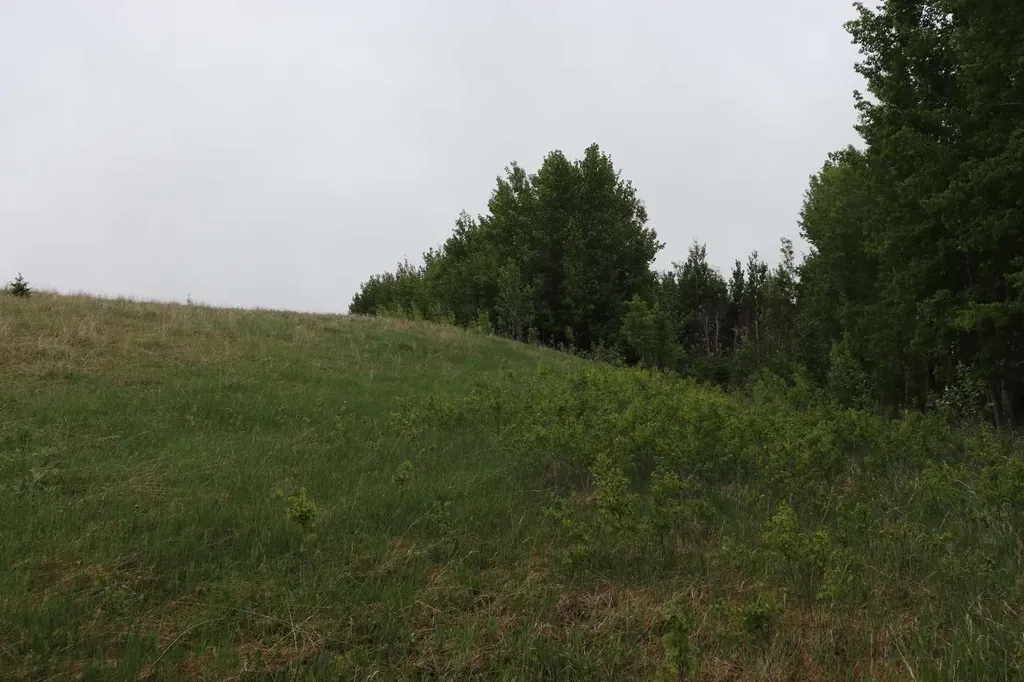 Lot 1 Ne-21-53-11 Rural Yellowhead County AB T7E 5A6
