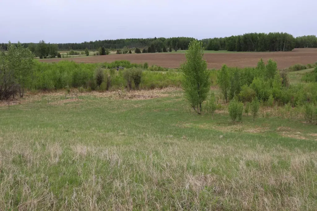 Lot 1 Ne-21-53-11 Rural Yellowhead County AB T7E 5A6