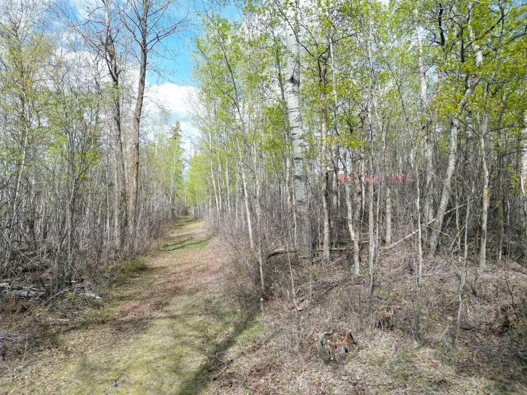 Lot 5 Bl 4 Rural Big Lakes County AB T0G1E0