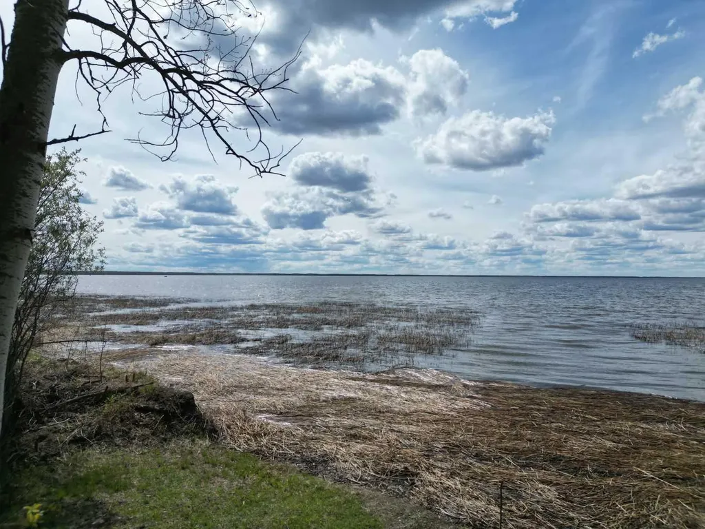 Lot 5 Bl 4 Rural Big Lakes County AB T0G1E0
