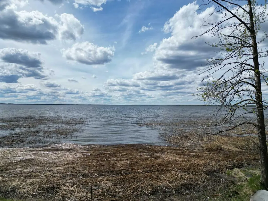 Lot 5 Bl 4 Rural Big Lakes County AB T0G1E0