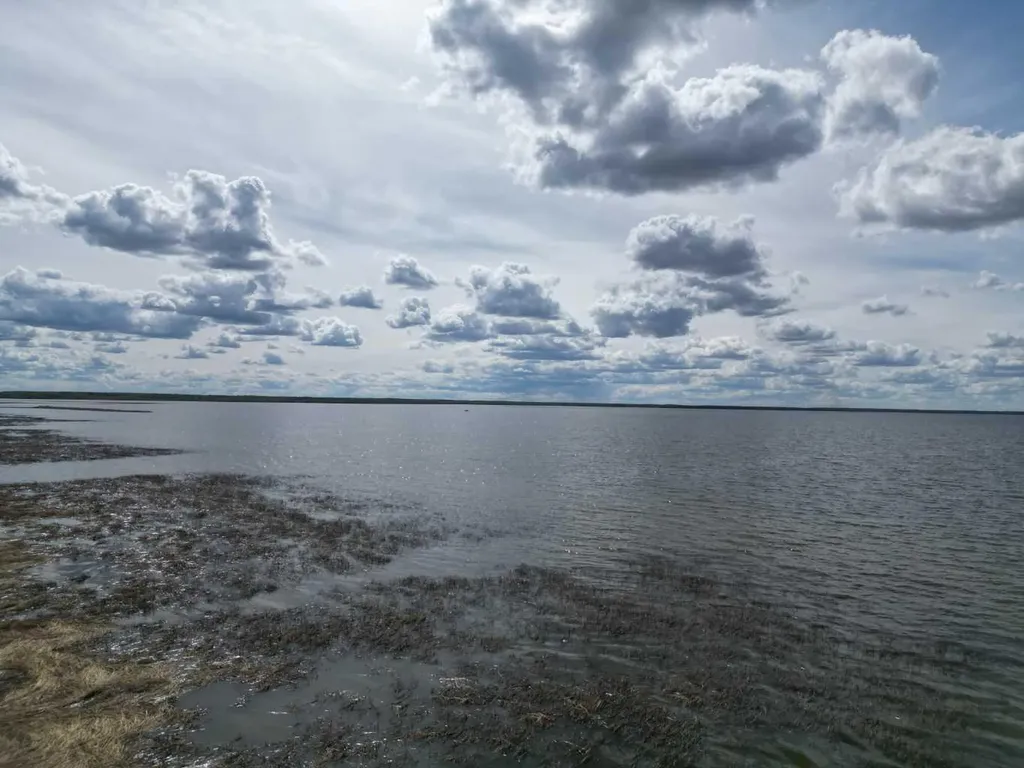 Lot 5 Bl 4 Rural Big Lakes County AB T0G1E0