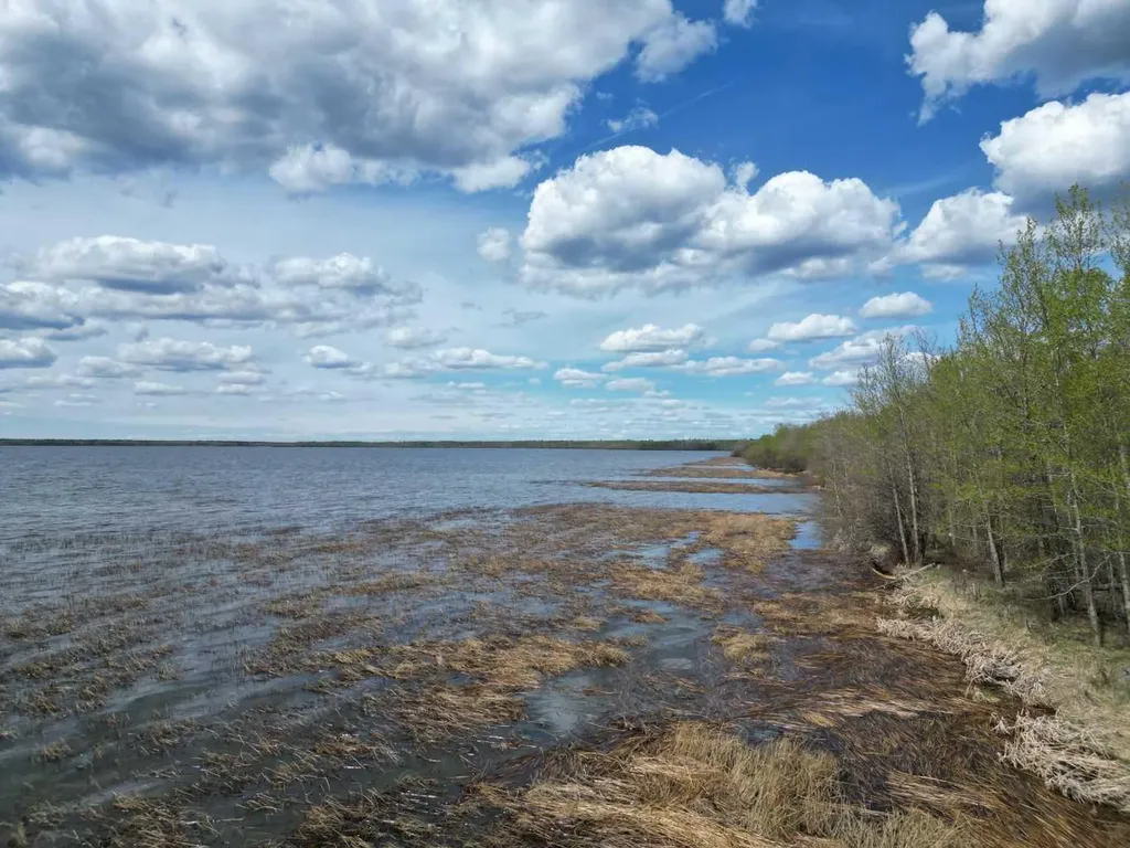 Lot 5 Bl 4 Rural Big Lakes County AB T0G1E0