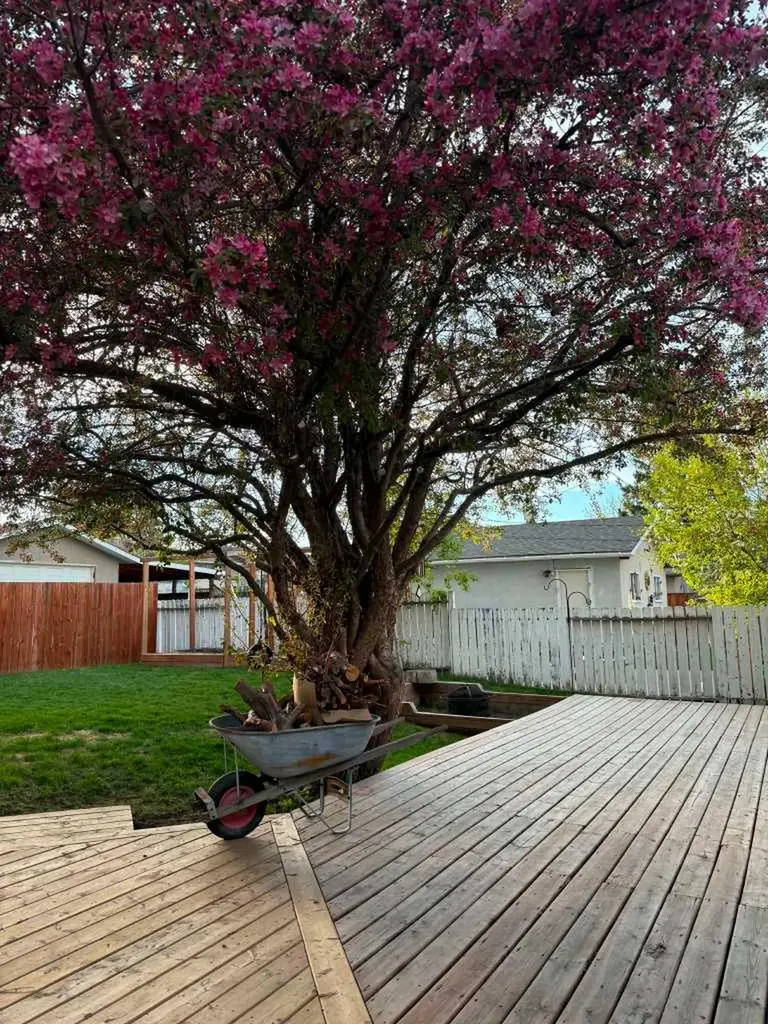 1203 34 Street SE Calgary AB T2A 0Z7
