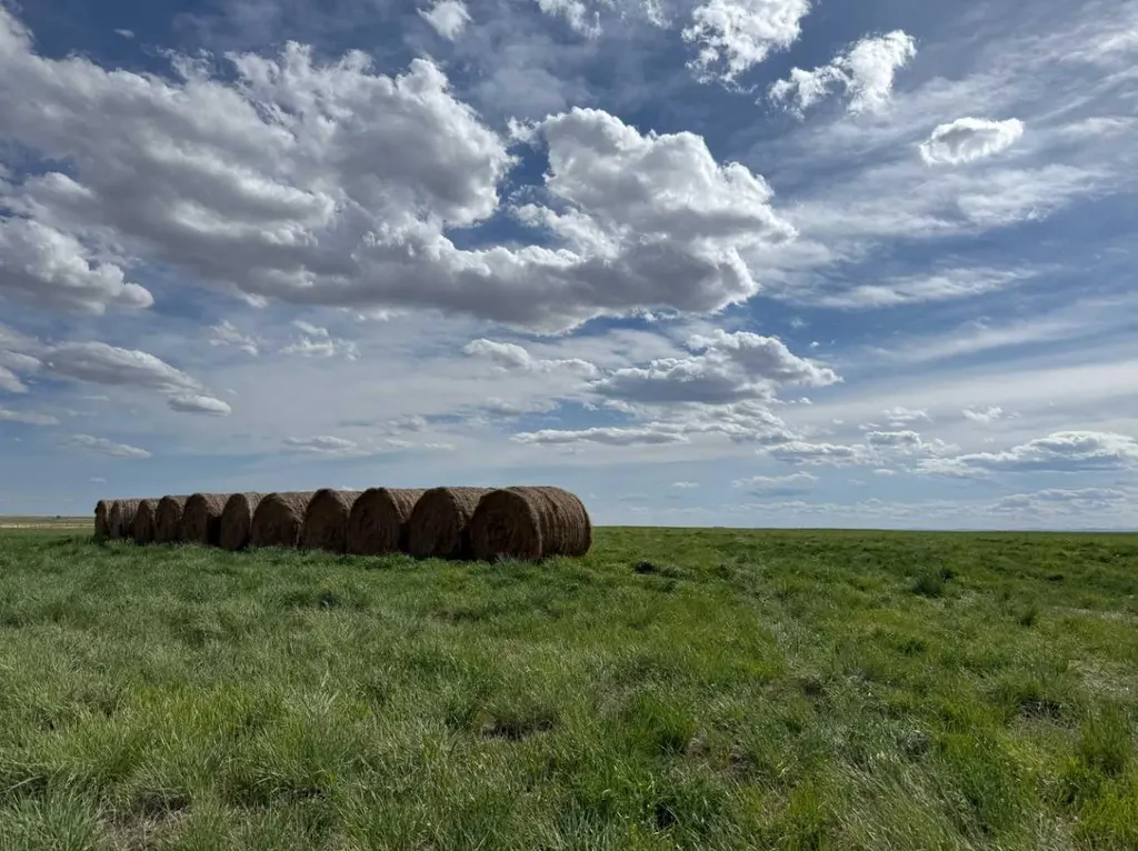 180082 Rge Road 255 Rural Vulcan County AB T0L 0L0